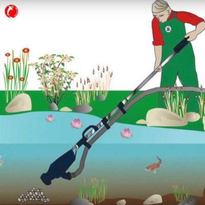 cach-cach-lam-trong-nuoc-ho-ca-koi-don-gian-hieu-qua-239-4