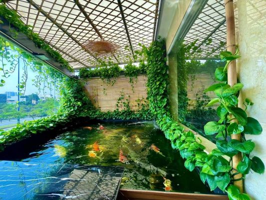 cach-cach-lam-trong-nuoc-ho-ca-koi-don-gian-hieu-qua-239-5