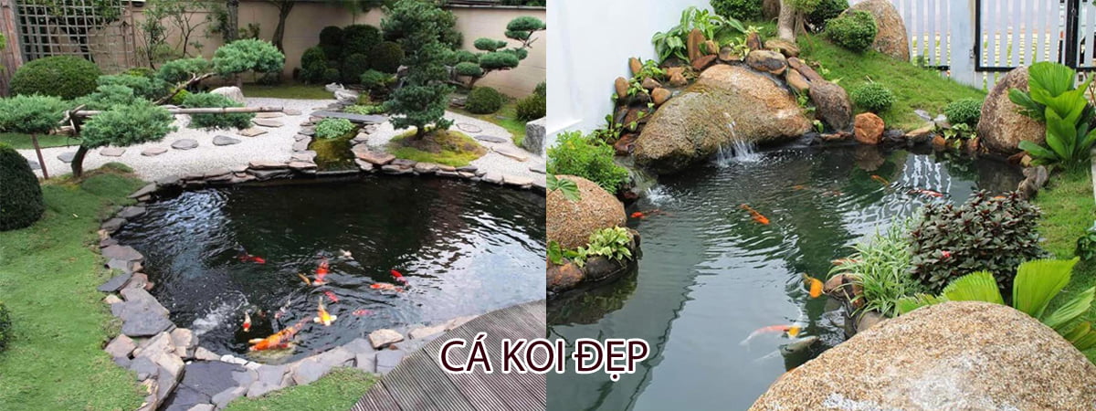 cakoidep