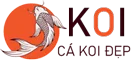 Thiết kế, thi công hồ cá koi đẹp